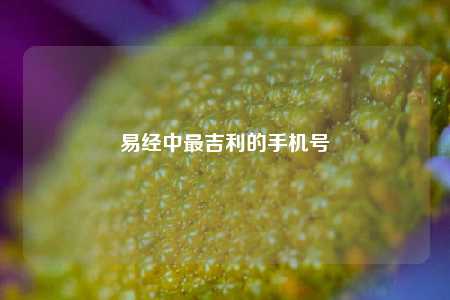 易经中最吉利的手机号