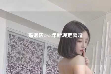 婚姻法2023年新规定离婚