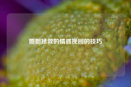 婚姻拯救的情感挽回的技巧