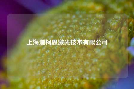 上海瑞柯恩激光技术有限公司