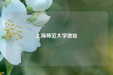 上海师范大学地址