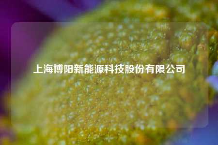 上海博阳新能源科技股份有限公司