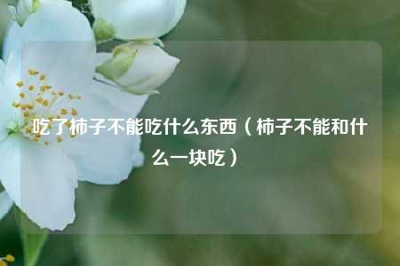 吃了柿子不能吃什么东西（柿子不能和什么一块吃） 