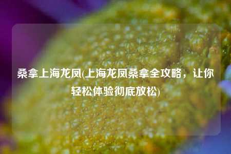 桑拿上海龙凤(上海龙凤桑拿全攻略，让你轻松体验彻底放松)