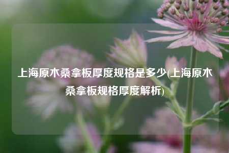 上海原木桑拿板厚度规格是多少(上海原木桑拿板规格厚度解析)