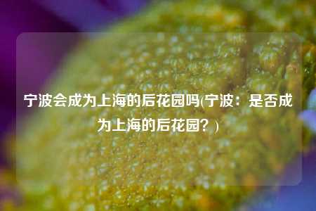 宁波会成为上海的后花园吗(宁波：是否成为上海的后花园？)