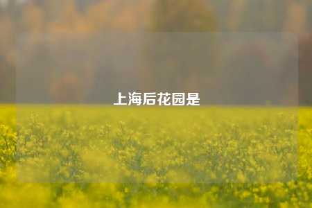 上海后花园是