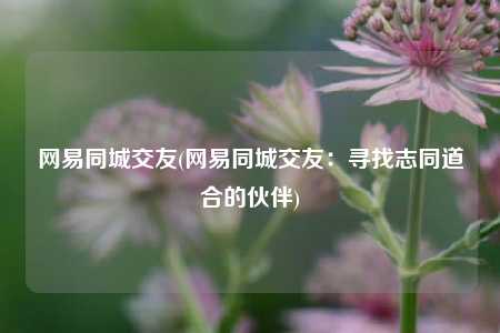 网易同城交友(网易同城交友：寻找志同道合的伙伴)