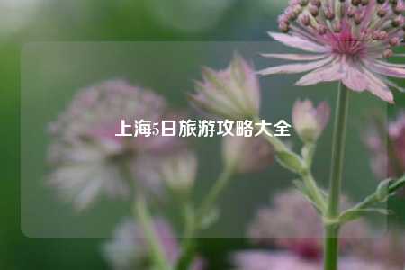上海5日旅游攻略大全