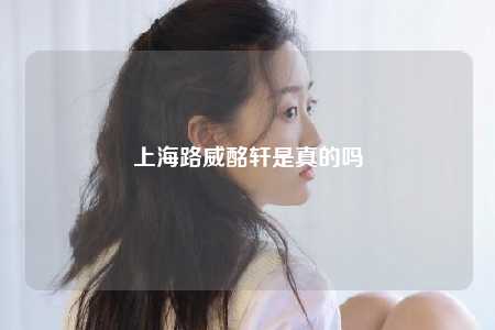 上海路威酩轩是真的吗