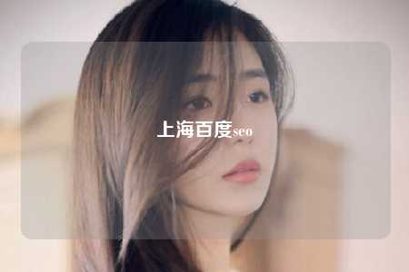 上海百度seo
