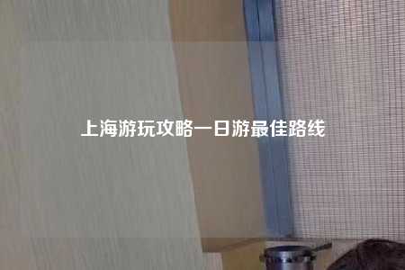 上海游玩攻略一日游最佳路线