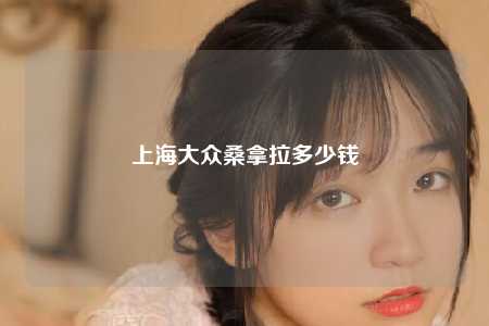 上海大众桑拿拉多少钱