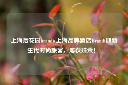 上海后花园brandi(上海品牌酒店Brandi迎新生代时尚旅客，屡获殊荣！)