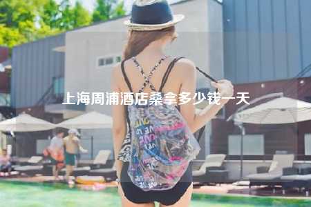 上海周浦酒店桑拿多少钱一天