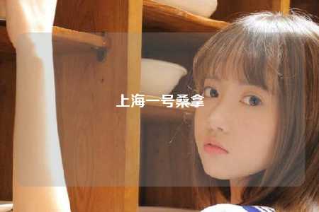 上海一号桑拿