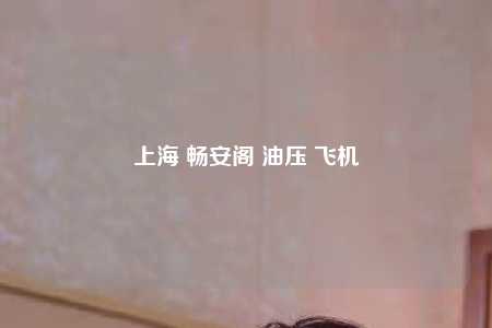 上海 畅安阁 油压 飞机