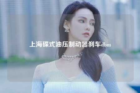 上海碟式油压制动器刹车dbm