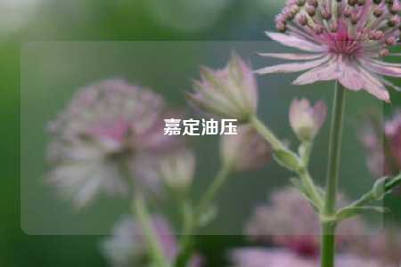 嘉定油压