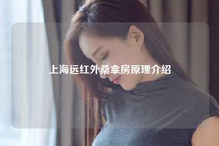 上海远红外桑拿房原理介绍