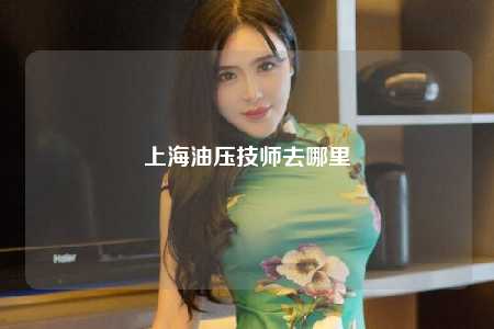 上海油压技师去哪里