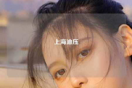 上海油压