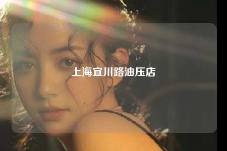 上海宜川路油压店
