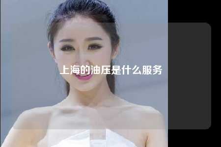 上海的油压是什么服务