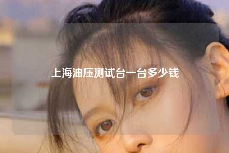 上海油压测试台一台多少钱
