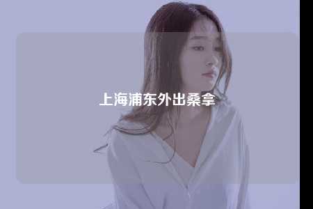 上海浦东外出桑拿